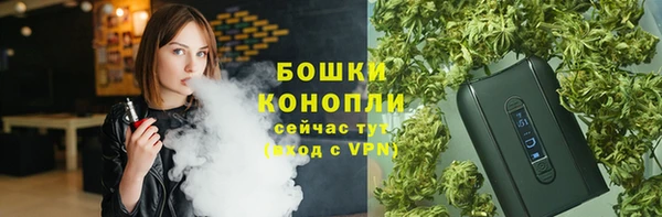 шишки Наволоки