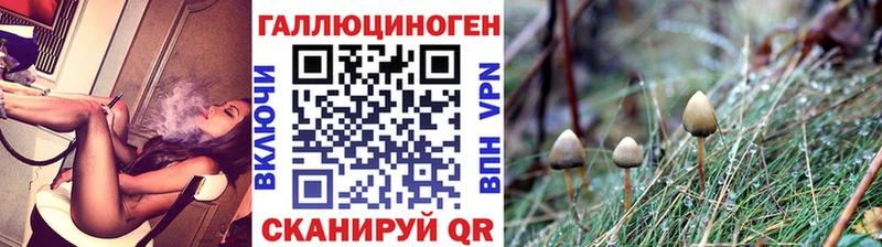 omg вход  Козловка  Галлюциногенные грибы ЛСД 
