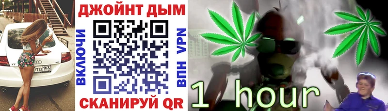Бошки марихуана гибрид  даркнет сайт  Козловка 